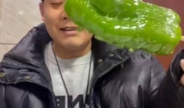 武汉男网红吃瓜,揭秘瓜界新潮流