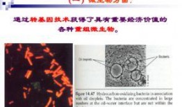 33伦理在线观看,揭秘伦理道德的深度解读