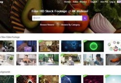 新人爆料素材视频,视频内容深度解析