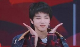 娱乐吃瓜华晨宇,娱乐界的瓜王，揭秘他的音乐与生活