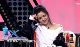 苏醒何洁爆料视频大全最新,揭秘娱乐圈不为人知的真相